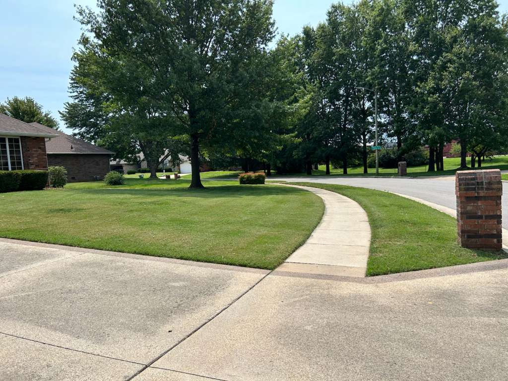Container garden setup
