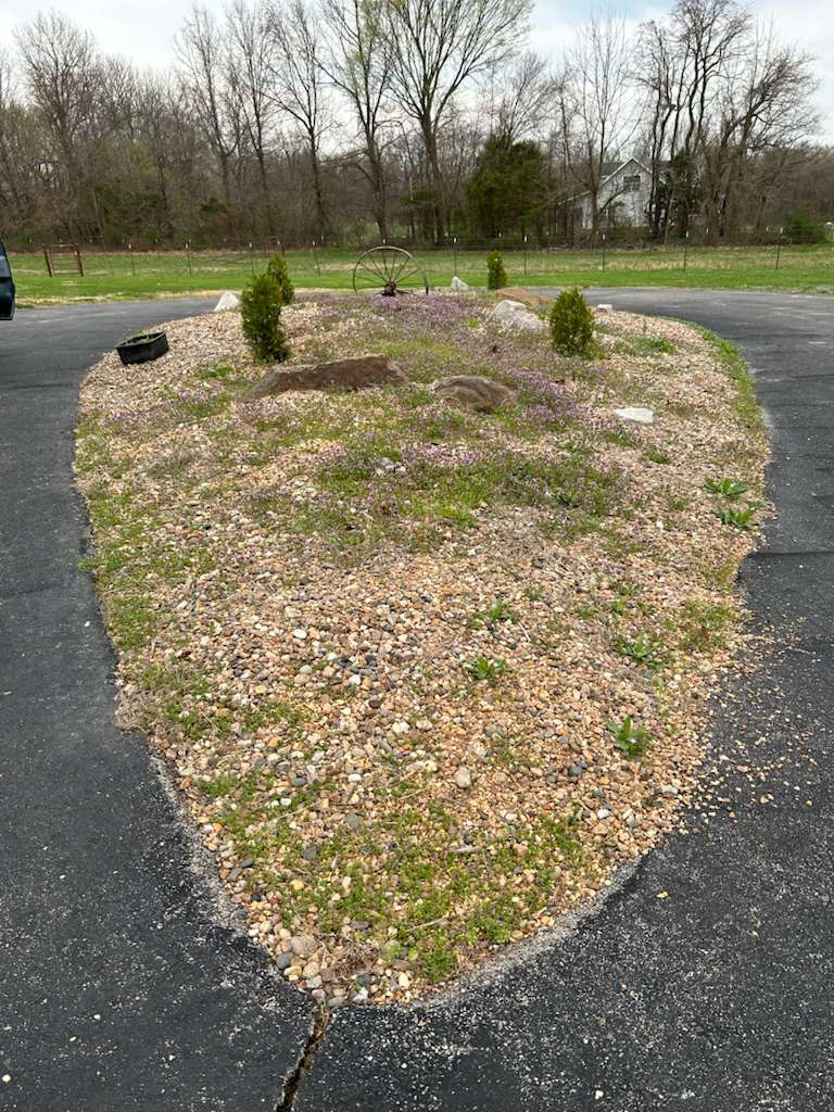 Gravel bed with grass growing through - needs cleanup