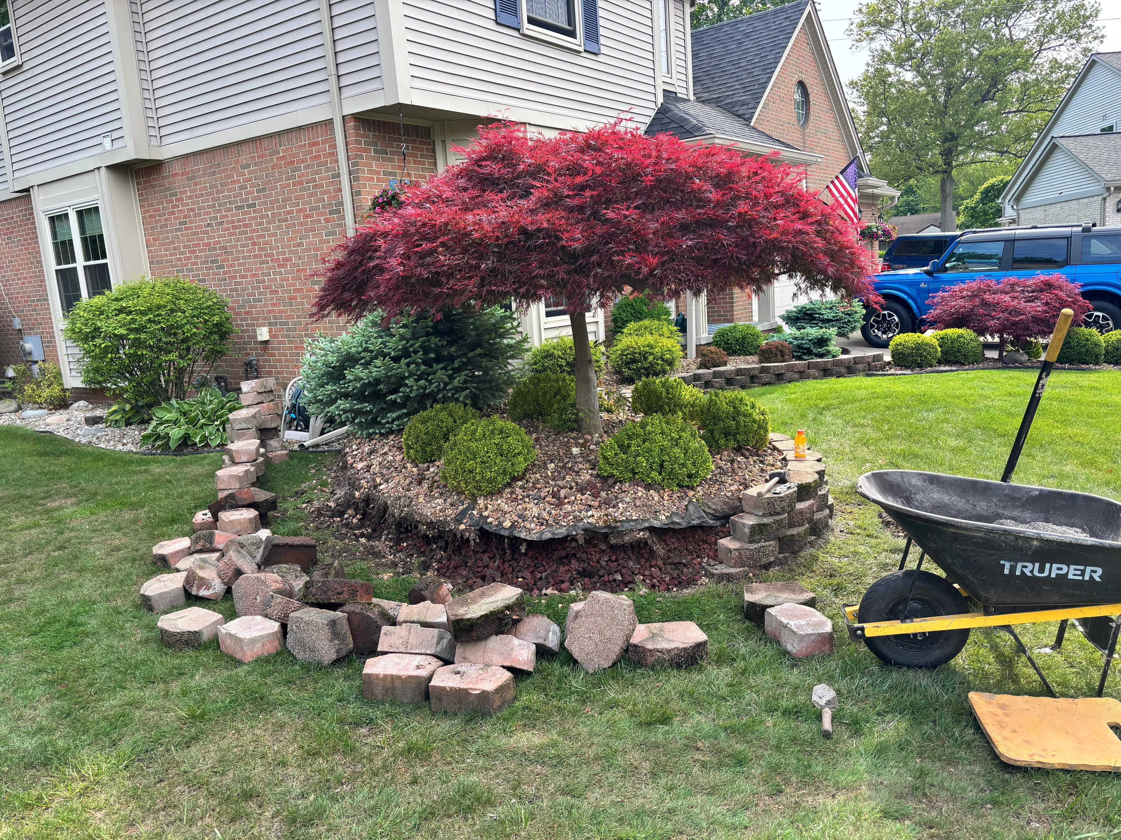 Landscaping and garden project