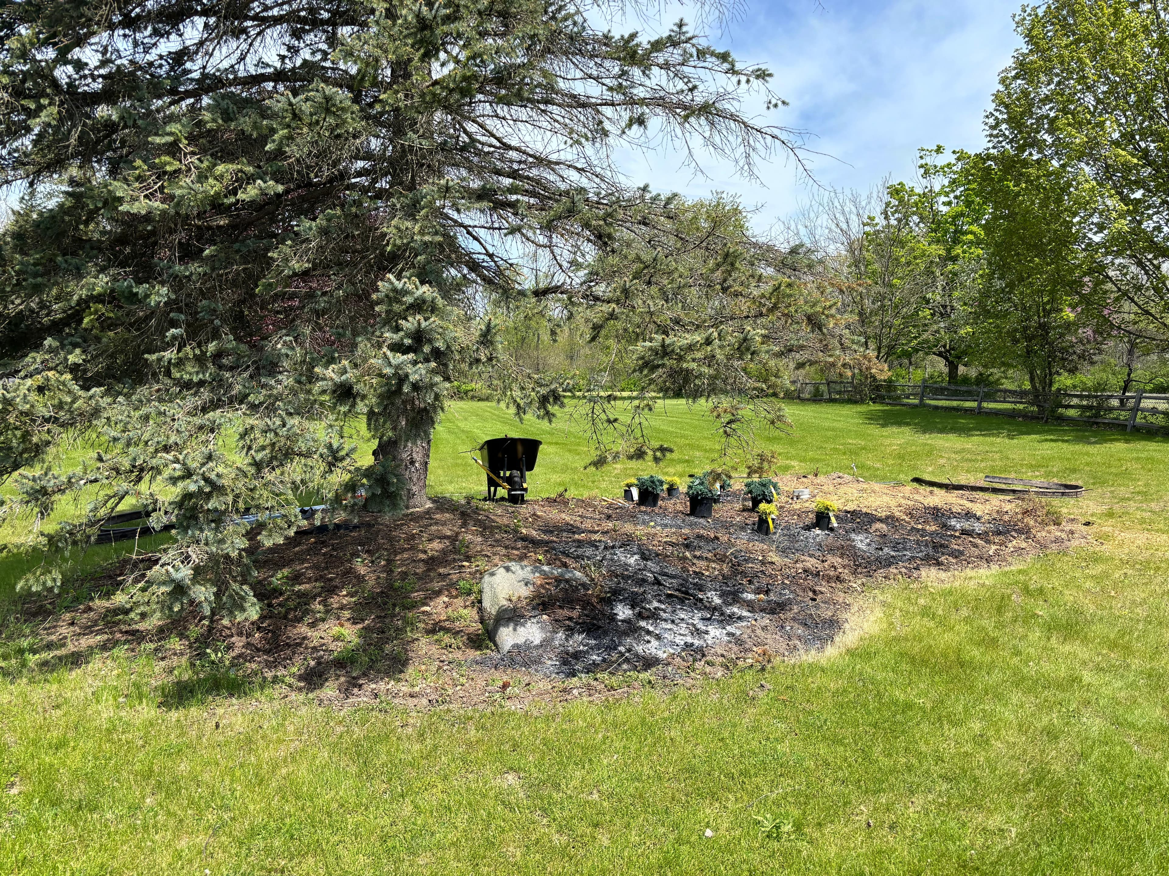 Landscaping and garden project