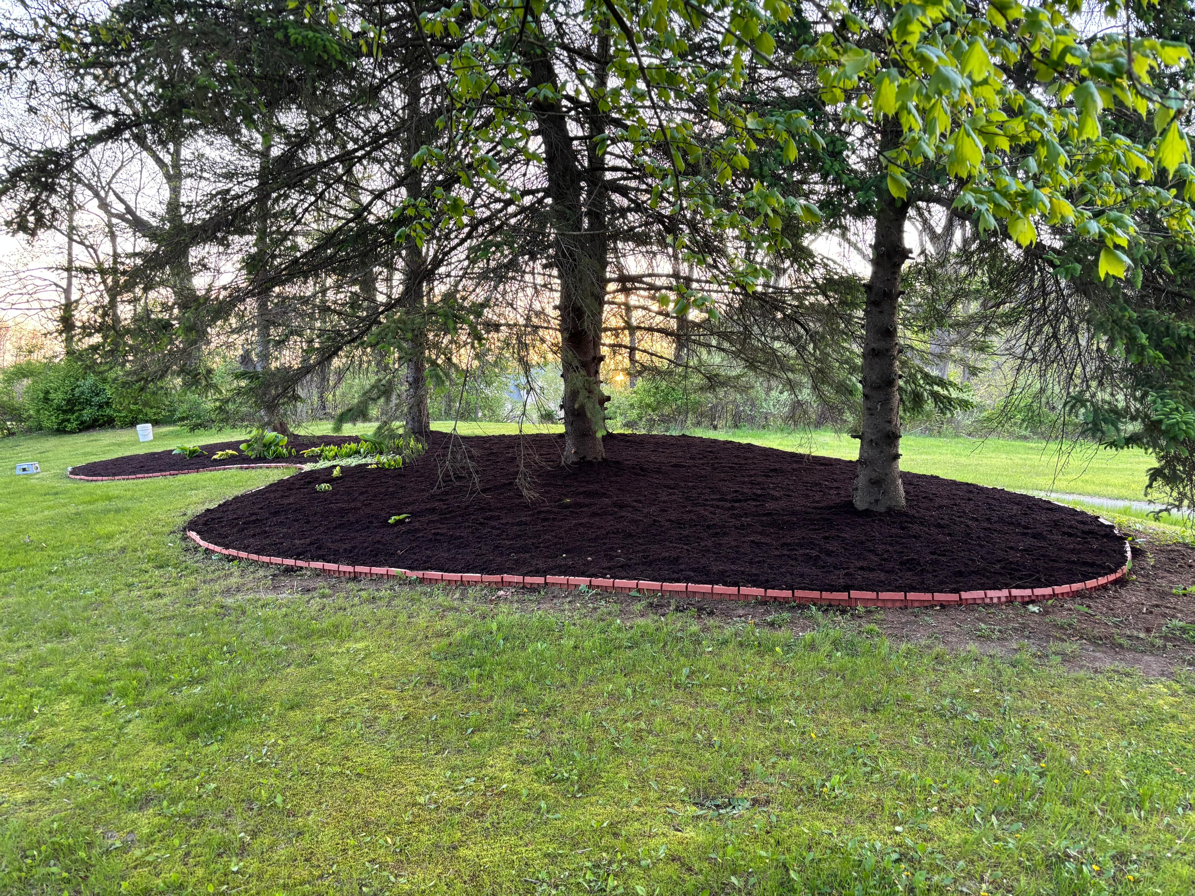 Landscaping and garden project