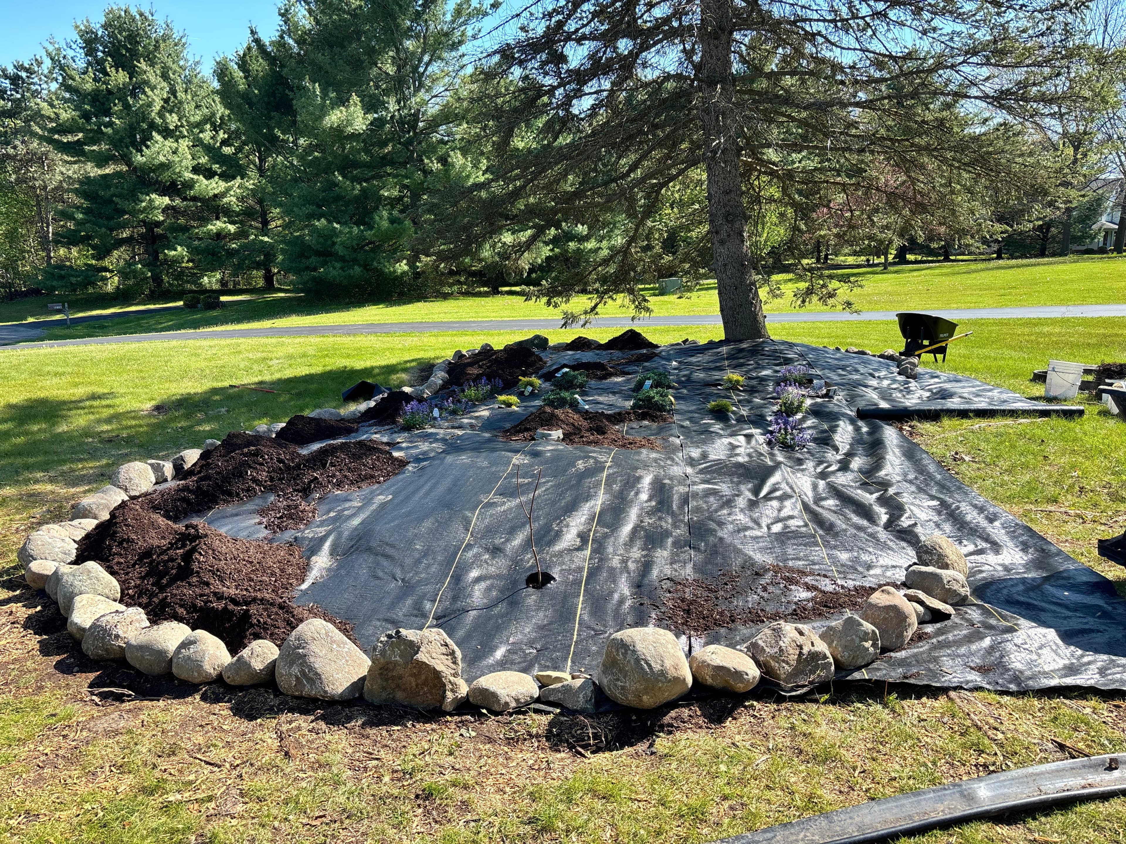 Landscaping and garden project