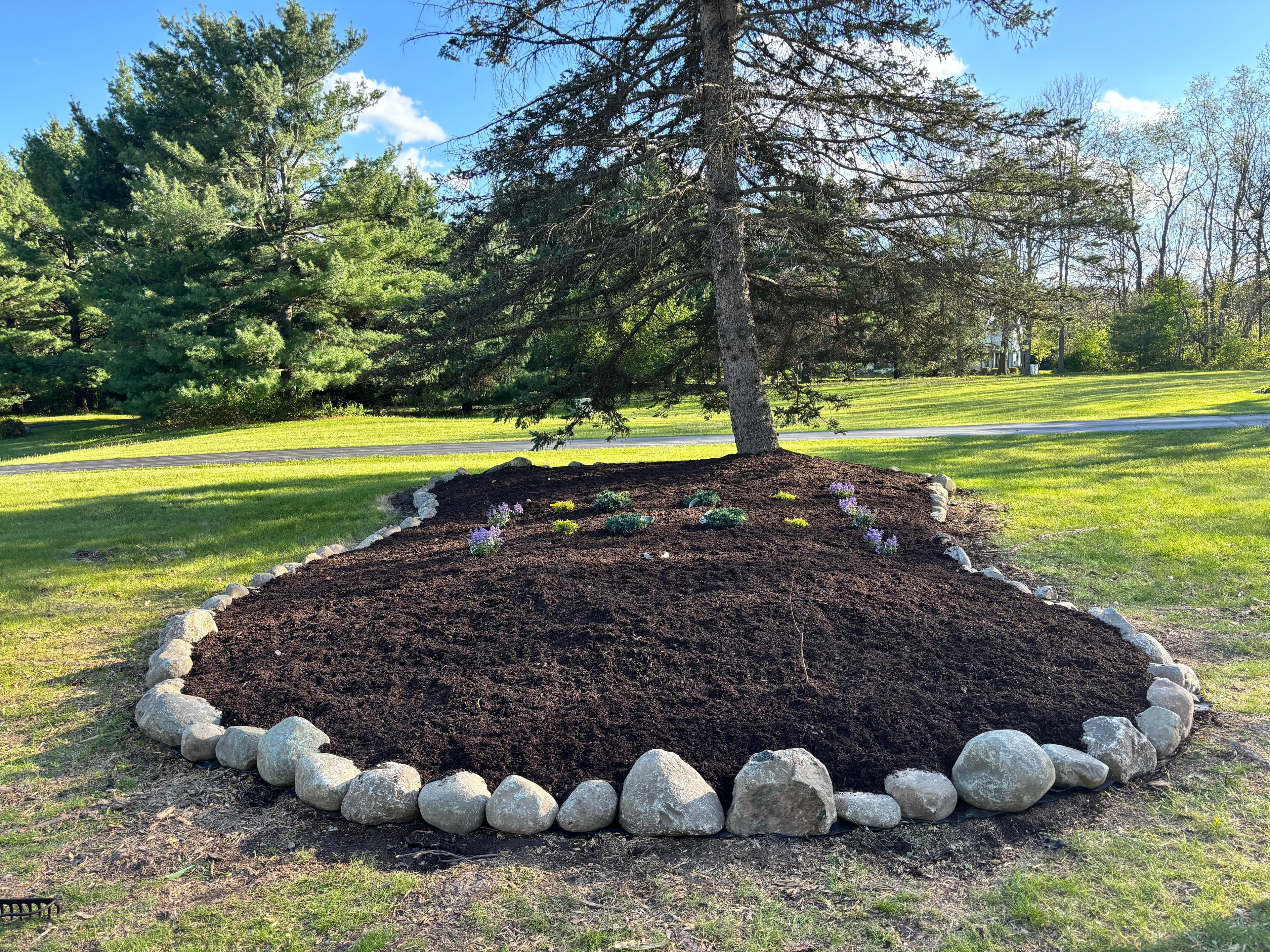 Landscaping and garden project