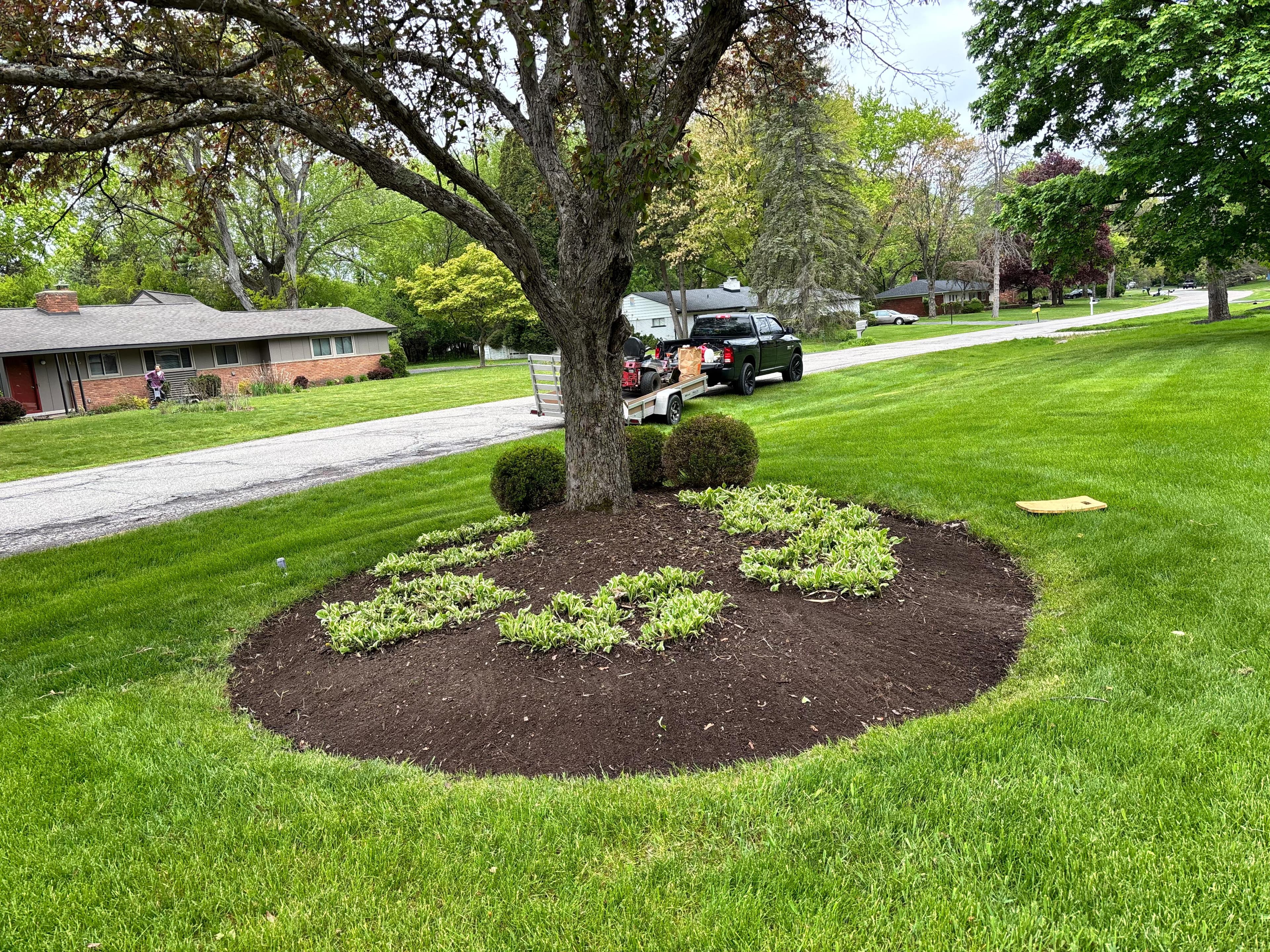 Landscaping and garden project