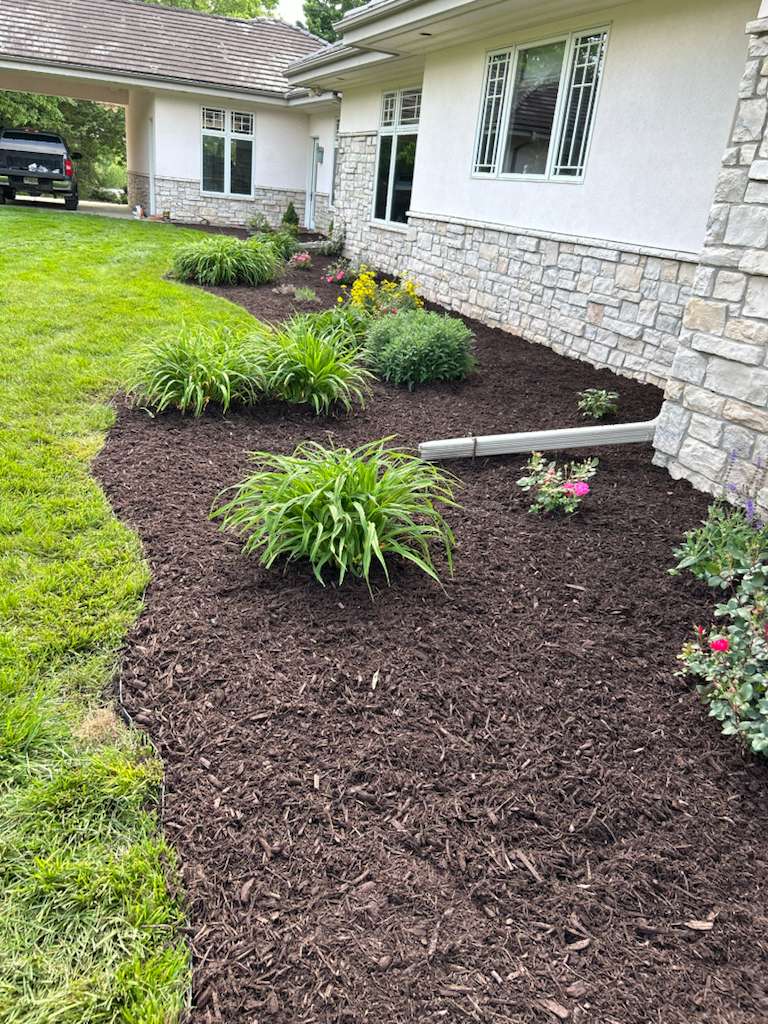 Tree and shrub planting